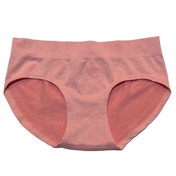 aerie Other - NWT AERIE Boybrief Panties/Underwear Sz XL Light Pink